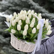 Корзина из белых тюльпанов